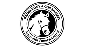 Sponsor Welsh Pony