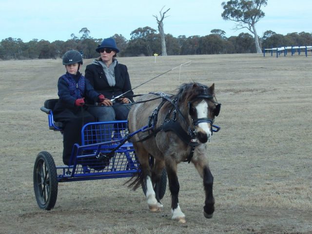 Young Driver Bungendore Dressage 2018 Sue Fraser 1